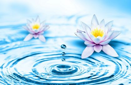 reiki2limenaseminars